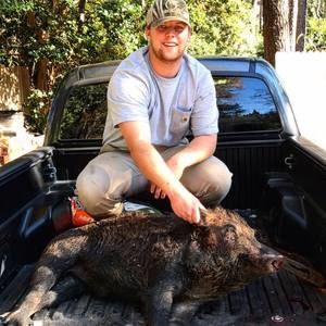 Meet your Posher, Frank